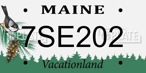 7SE202 Maine License Plate