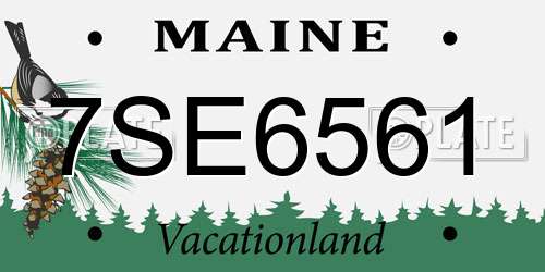 7SE6561 Maine License Plate