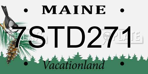 7STD271 Maine License Plate