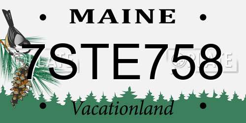 7STE758 Maine License Plate