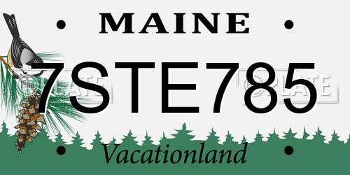 7STE785 Maine License Plate