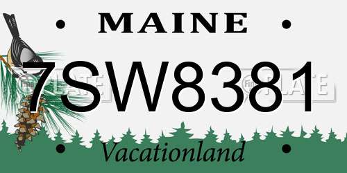 7SW8381 Maine License Plate
