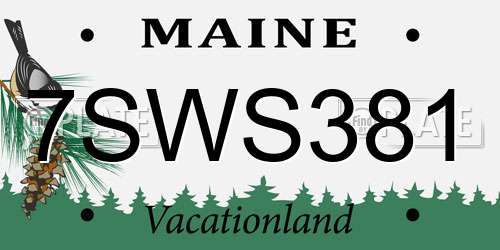 7SWS381 Maine License Plate