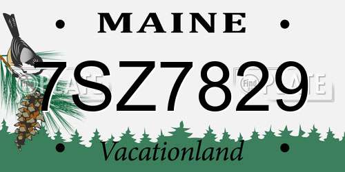 7SZ7829 Maine License Plate