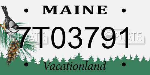 7T03791 Maine License Plate