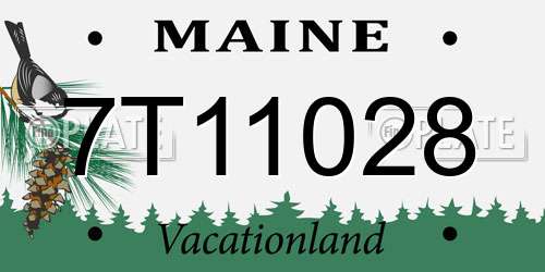 7T11028 Maine License Plate