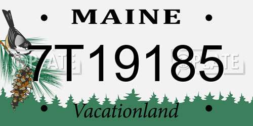 7T19185 Maine License Plate