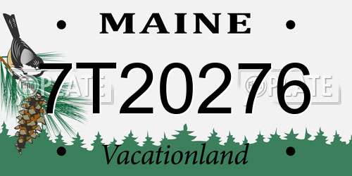 7T20276 Maine License Plate
