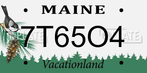 7T65O4 Maine License Plate