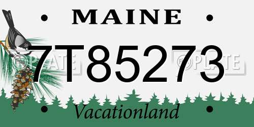7T85273 Maine License Plate