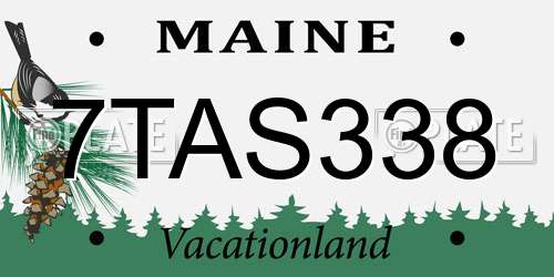 7TAS338 Maine License Plate