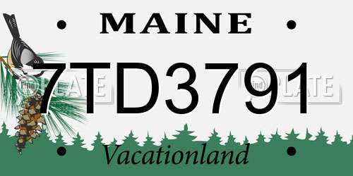 7TD3791 Maine License Plate