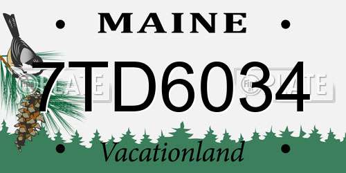7TD6034 Maine License Plate