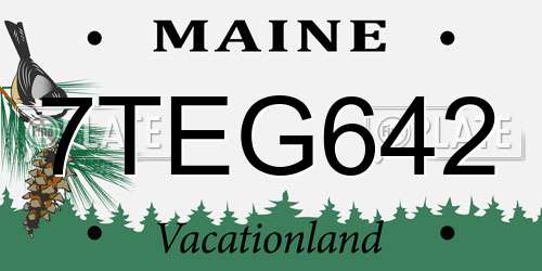7TEG642 Maine License Plate