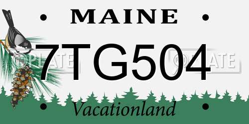 7TG504 Maine License Plate