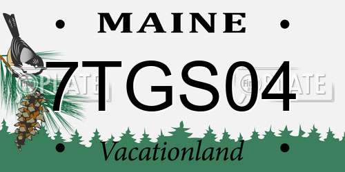7TGS04 Maine License Plate