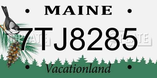 7TJ8285 Maine License Plate