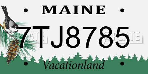 7TJ8785 Maine License Plate