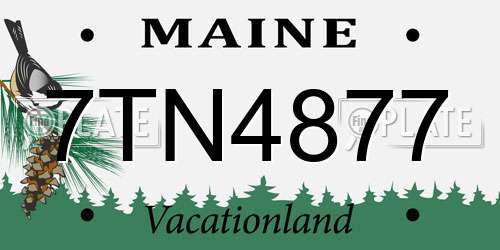 7TN4877 Maine License Plate