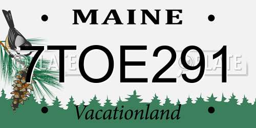 7TOE291 Maine License Plate