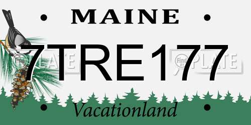 7TRE177 Maine License Plate