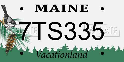 7TS335 Maine License Plate
