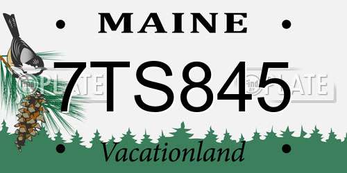 7TS845 Maine License Plate