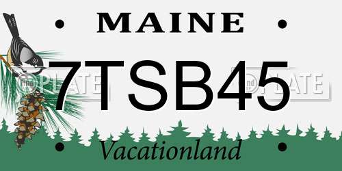 7TSB45 Maine License Plate