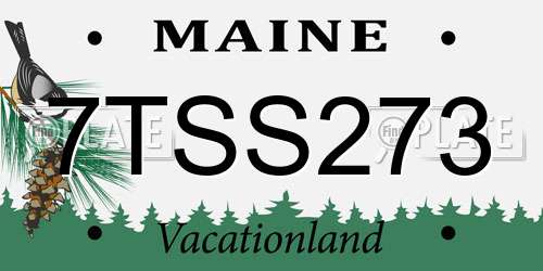 7TSS273 Maine License Plate