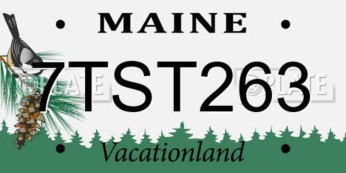 7TST263 Maine License Plate
