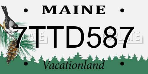 7TTD587 Maine License Plate