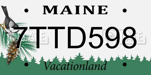 7TTD598 Maine License Plate
