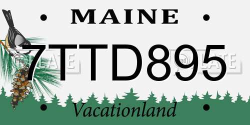7TTD895 Maine License Plate