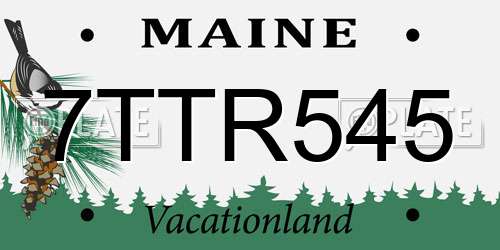 7TTR545 Maine License Plate