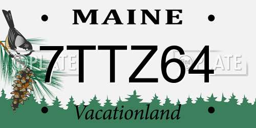 7TTZ64 Maine License Plate