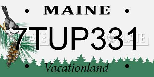 7TUP331 Maine License Plate