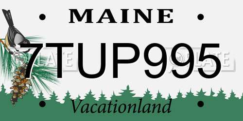 7TUP995 Maine License Plate