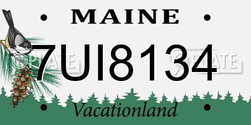 7UI8134 Maine License Plate