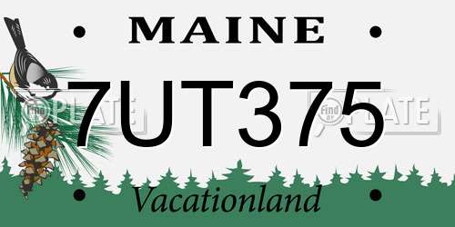 7UT375 Maine License Plate