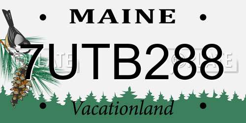 7UTB288 Maine License Plate
