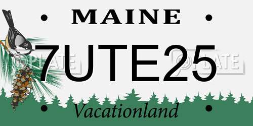7UTE25 Maine License Plate
