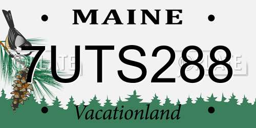 7UTS288 Maine License Plate