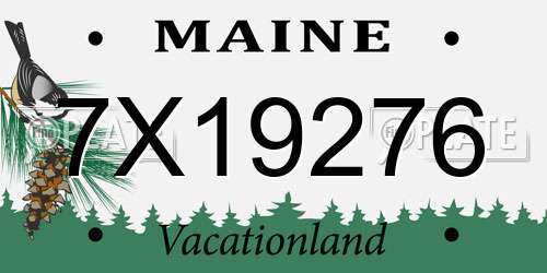 7X19276 Maine License Plate
