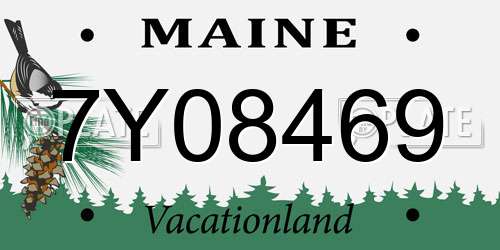 7Y08469 Maine License Plate
