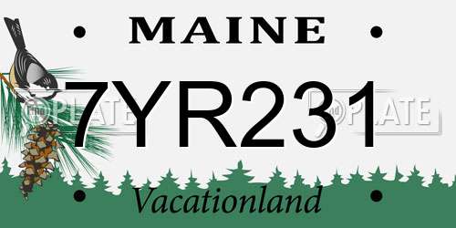 7YR231 Maine License Plate