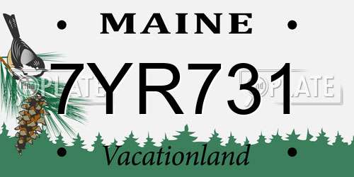 7YR731 Maine License Plate
