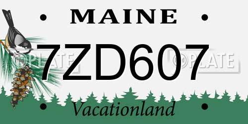7ZD607 Maine License Plate