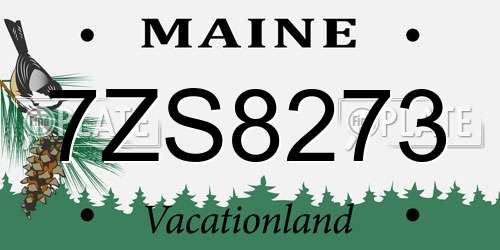 7ZS8273 Maine License Plate