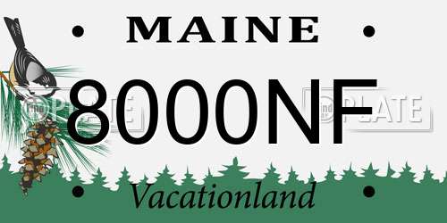 8000NF Maine License Plate