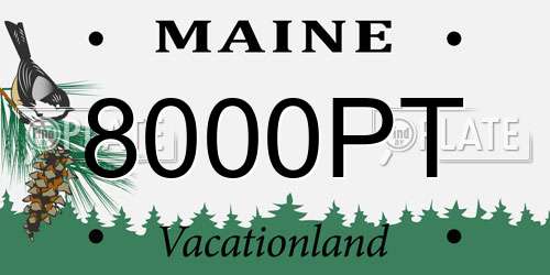 8000PT Maine License Plate